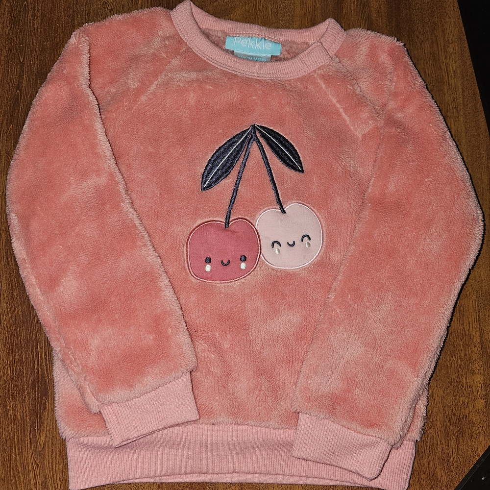 Cozy Pink Fleece Sweatshirt And Pant